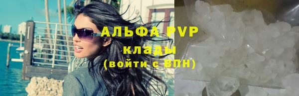 ECSTASY Дмитров