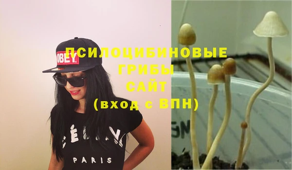 ешки Ельня
