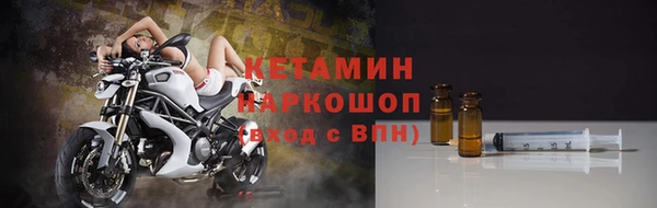 крисы Дмитриев
