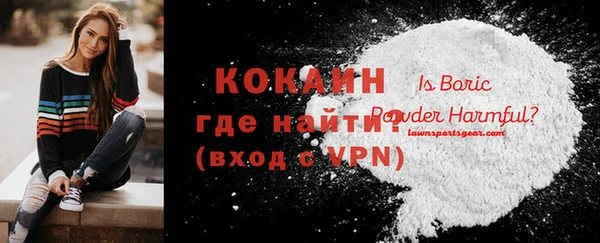 крисы Дмитриев
