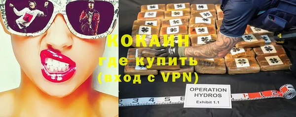 ешки Ельня