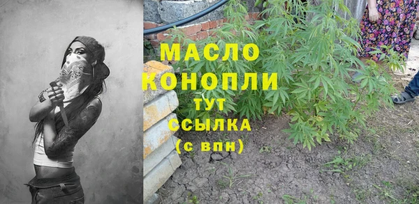 стаф Елабуга