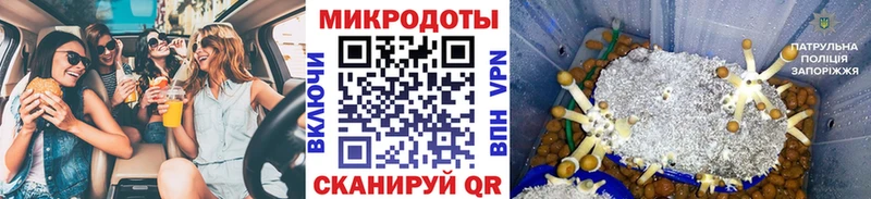 Псилоцибиновые грибы Cubensis  гидра зеркало  Валуйки 